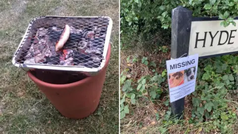 Katie Fuller Barbecue and missing dogs poster