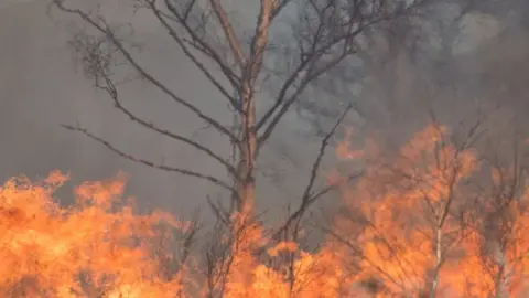 Lee Ridley Intense flames