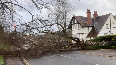 Alex Brown A tree lying across the A472 near the Glen Yr Afon Hotel in Usk on Thursday