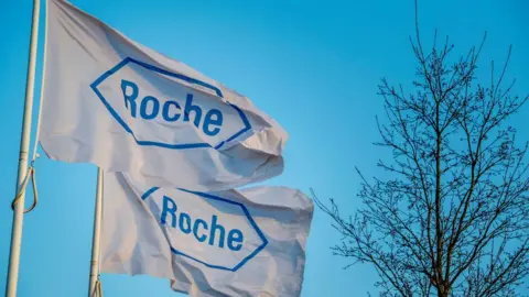 SOPA Images/Getty Roche flags