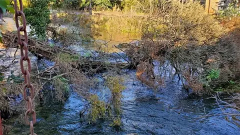 Gurpal Nijjar The blockage at River Lambourne