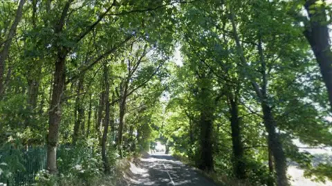 Google Tree-lined road with dappled summer light near Kilnhurst in Rotherham
