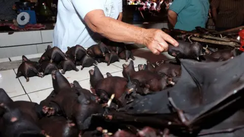 Getty Images Bats being sold at an Indonesian market this month