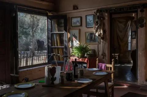 Erica Canepa Oscar's home