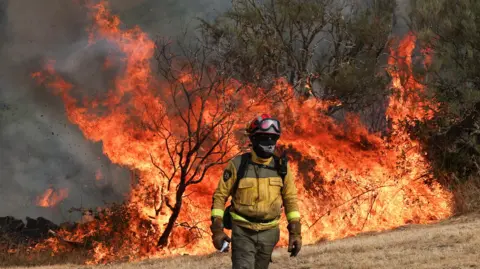 Reuters A firefighter walks in front of vegetation engulfed in flames in Spain.