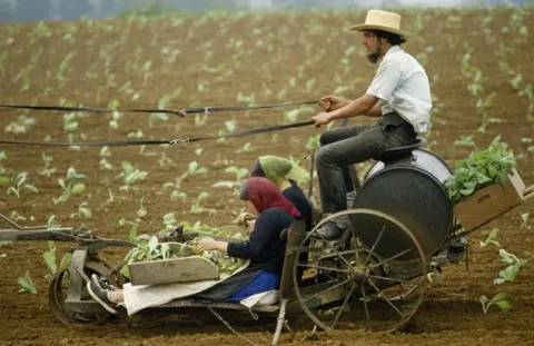 Getty Images Amish farmers