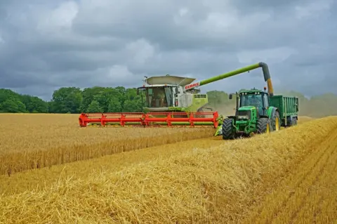 Pete Llewellyn Harvest in a field