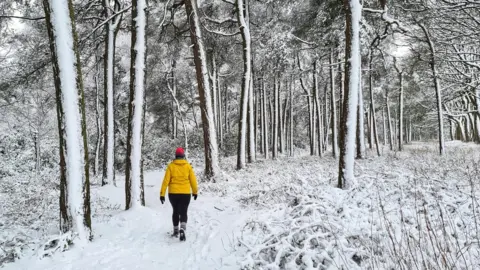 Mazymixer/BBC Weather Watchers Dore in Sheffield