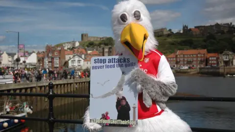 Scarborough Borough Council Seagull launch