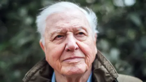 PA Sir David Attenborough