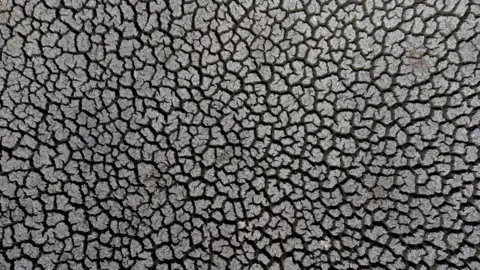 Getty Images drought