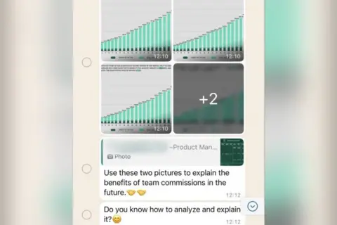 A message Mark was sent telling him how to explain the work