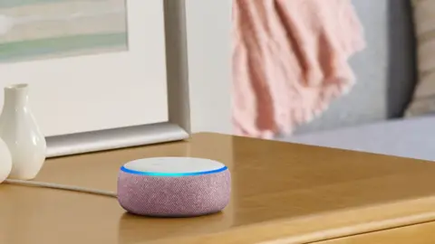 Amazon The Amazon Echo Dot