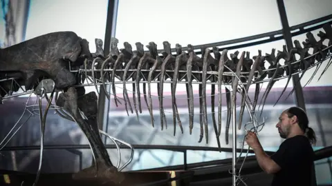 AFP/Getty Images A close up of a skeleton of a carnivorous dinosaur on display at the first floor of the Eiffel Tower in Paris, 2 June 2018