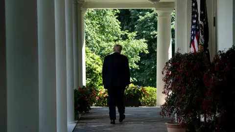 Getty Images Donald Trump at White House