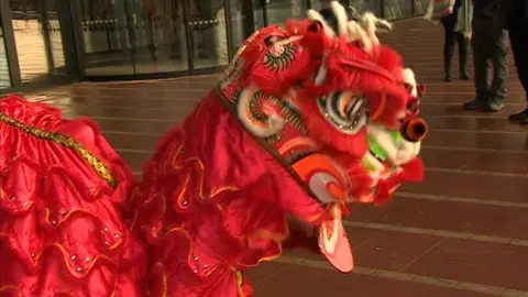 Lion dance