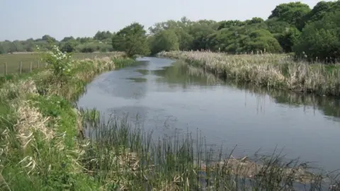 Caroline Maynard  Winnall Moors Nature Reserve