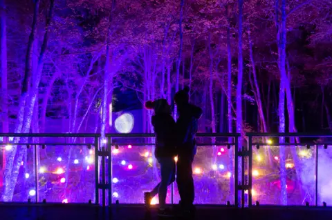 Enchanted Forest Enchanted Forest