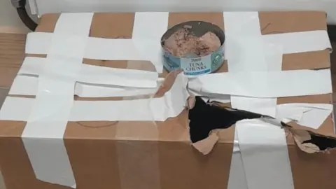 RSPCA A broken cardboard box and a tin of tuna