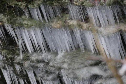 BBC Weather Watchers / Steve Dowkes Dozens of icicles formed in a waterfall.