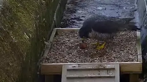 Winchester Cathedral Mel at Winchester Cathedral