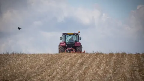 Getty Images A tractor ploughing a field with birds overhead