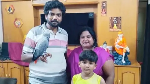 BBC Family offers reward for missing parrot