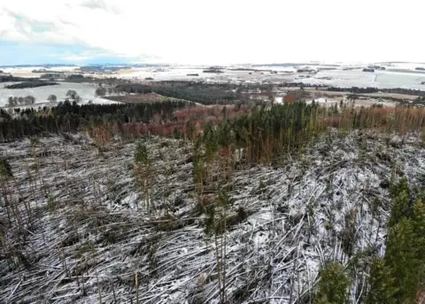 BLAIR NICHOLS / NTS Aerial image from Haddo House after Storm Arwen
