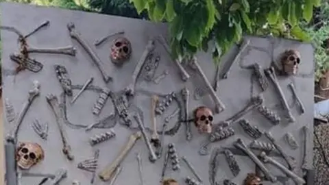 Natasha Vardy Skulls and bones wall display