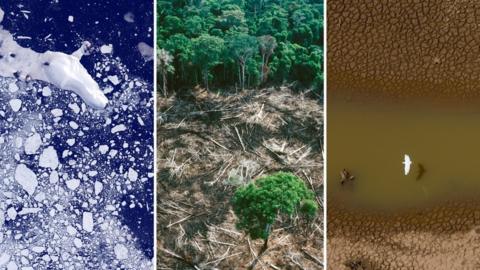 Climate Change: River Flows Affected Around The World - BBC Newsround