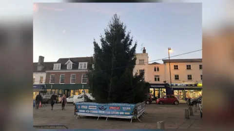 Elliot Branch/William H Brown Sudbury's replacement tree