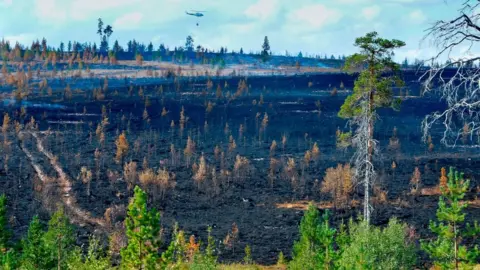 Getty Images forest fire