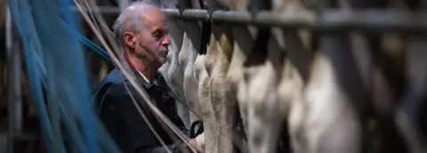 Getty Images Dairy farmer in Bozeat, England