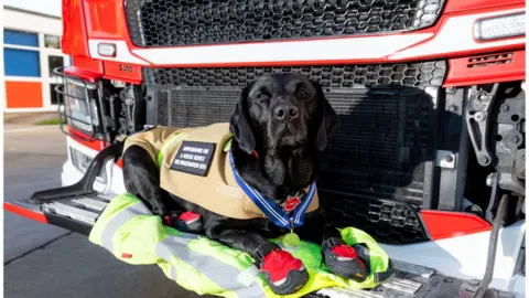 Hertfordshire Fire and Rescue Service dog Reqs receives PDSA medal