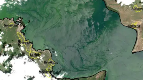 Armenian Environment Ministry Algae bloom on Armenia's Lake Sevan, July 2019