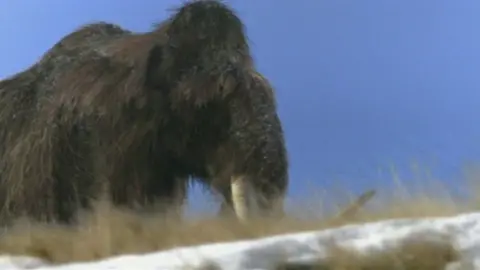 BBC Woolly mammoth