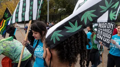 Getty Images Protesters are seen waving flags bearing marijuana leaves