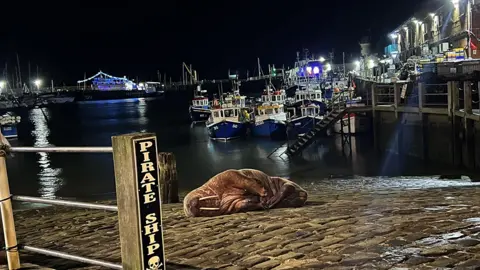 James Martin-Davies Walrus on slipway