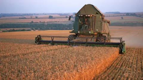 Getty Images Picture of harvest in Lincolnshire