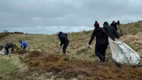 Six volunteers are working in a field to spread nettle roots across the grass. They are dressed in dark trousers and coats. One volunteer is carrying a white tonne bag. Others are using a pitch fork to spread the roots.