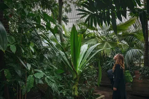 Vincenzo Di Nuzzo Dense undergrowth in a large tropical greenhouse with a woman looking at a plant
