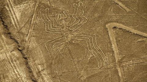 Nazca Lines And Other Amazing Earth Art Seen From Above Cbbc Newsround