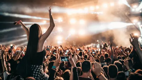 Getty Images A crowd at a concert