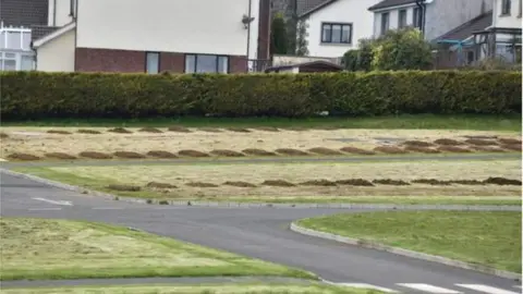 PACEMAKER Graves at Sixmile Cemetery in Antrim