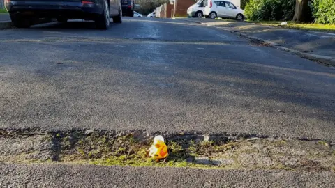 @Barzi28 Rubber duck in the pothole in Surrey