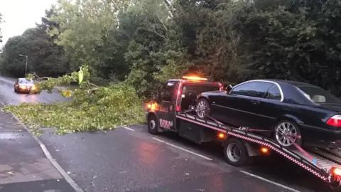 Abby Myers Fallen tree blocks road in Basildon, Essex