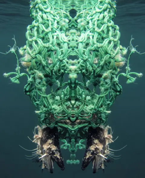 BBC semantic_memory.jpg