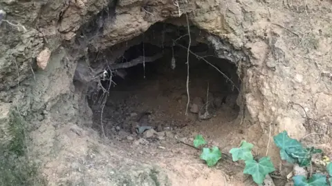 RSPCA Damage at the sett