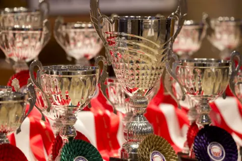 British Pie Awards Cups and rosettes