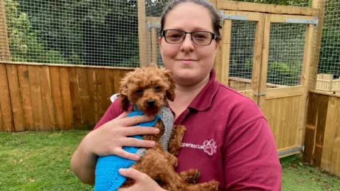 Charity worker with rescued dog